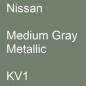 Preview: Nissan, Medium Gray Metallic, KV1.